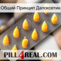 Общий Принцип Дапоксетин cialis1